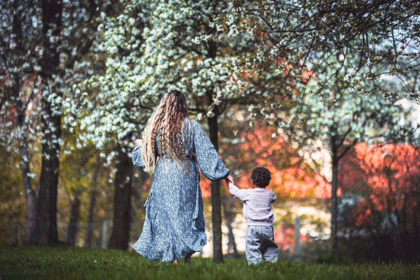 Mother and toddler walking hand in hand under blossom trees